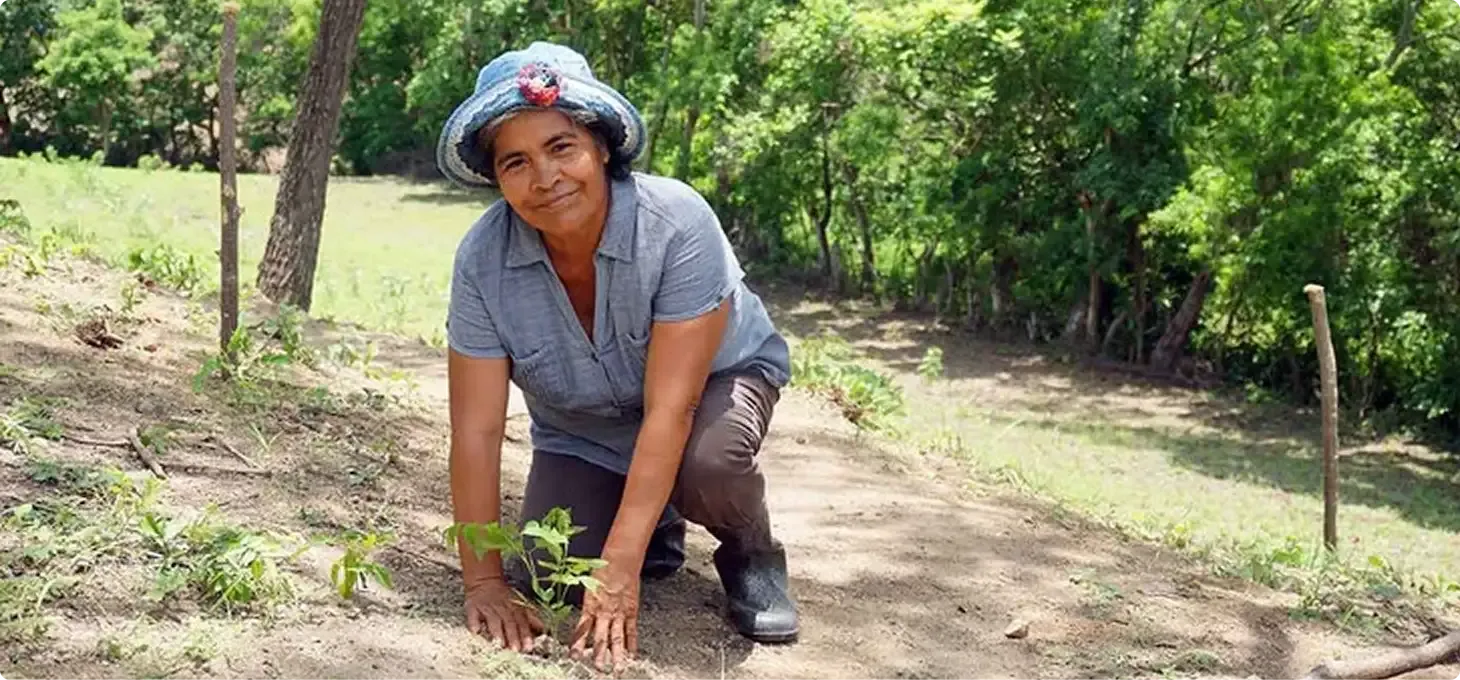 Photo d'une femme plantant un arbre