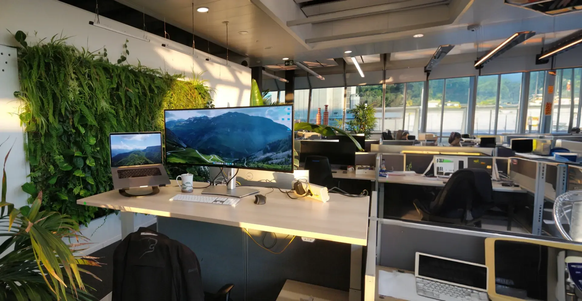 Bureau de travail, le mur de derrière est plein de plantes