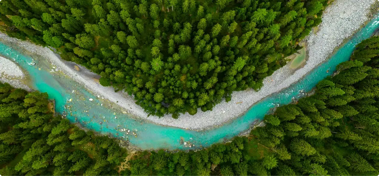 Photo d'une rivière traversante une forêt verdoyante